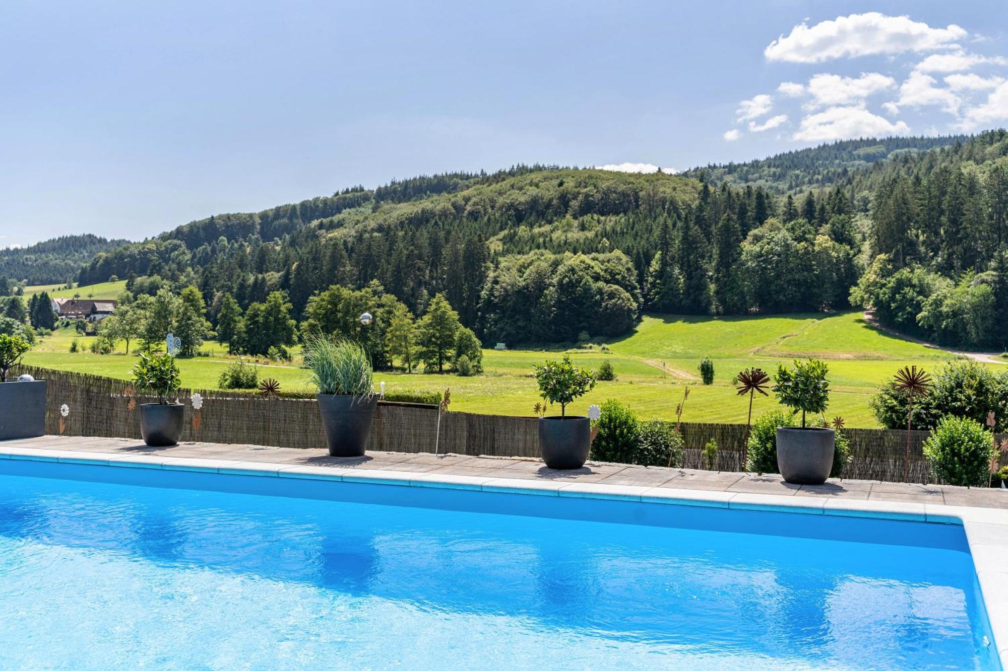 Ferienwohnung Geisbergblick Seelbach  Luaran gambar